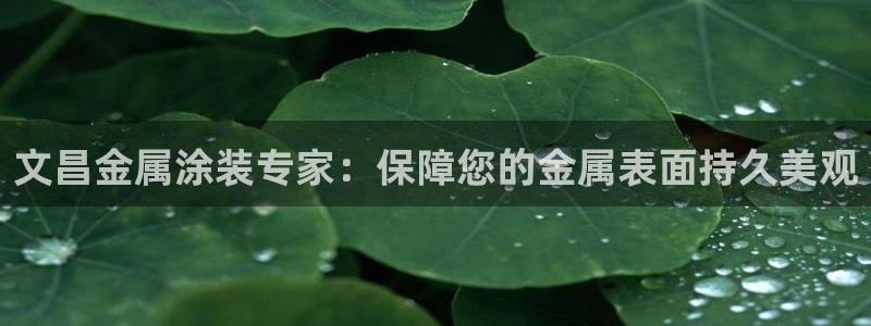 美狮美高梅酒店是谁的