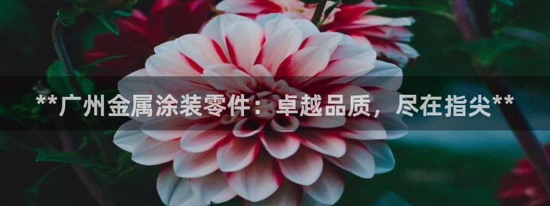 美高梅会员卡和新濠天地卡一样吗