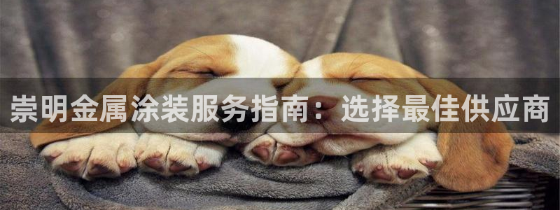 美高梅儿童托管怎么样