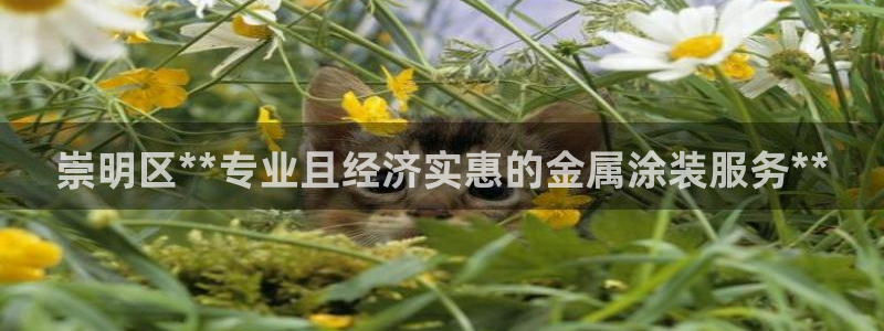 美高梅度假酒店地址