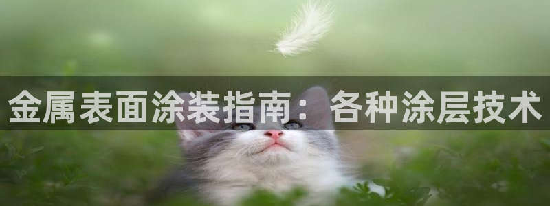 美高梅空中海洋秀时间