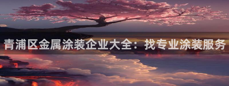 美高梅衣服外套
