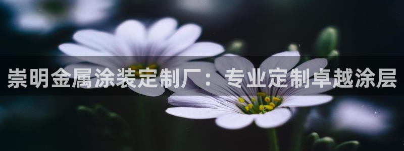 美高梅网络科技有限公司