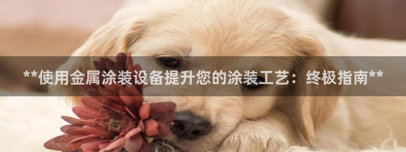 美狮美高梅酒店奶茶