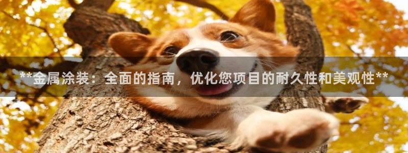 美高梅剧院演出