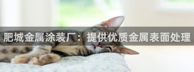 美高梅会员卡好用不
