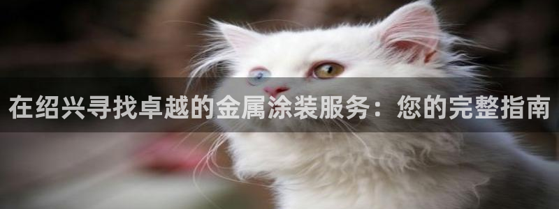 美高梅商场