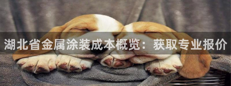 美高梅酒店免费奶茶是真的吗