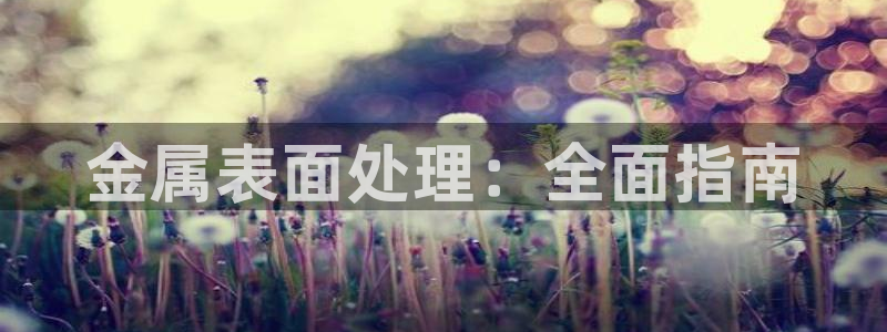 美高梅酒店日语