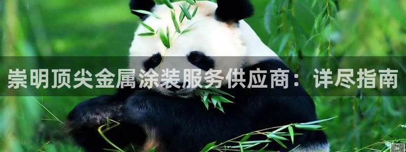 美高梅股票价格