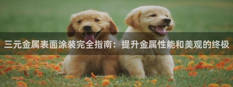 美高梅酒店标志logo