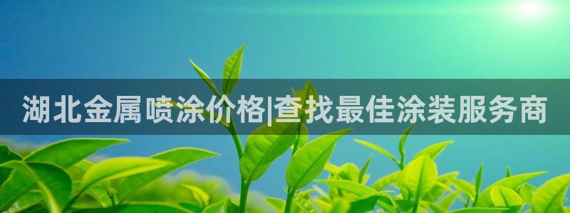 美高梅狮王卡值多少钱