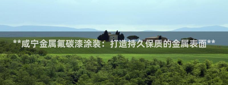 美高梅酒店标志logo