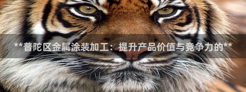 美高梅官方版app充值