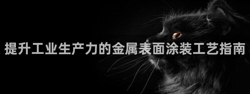 美高梅酒店老板