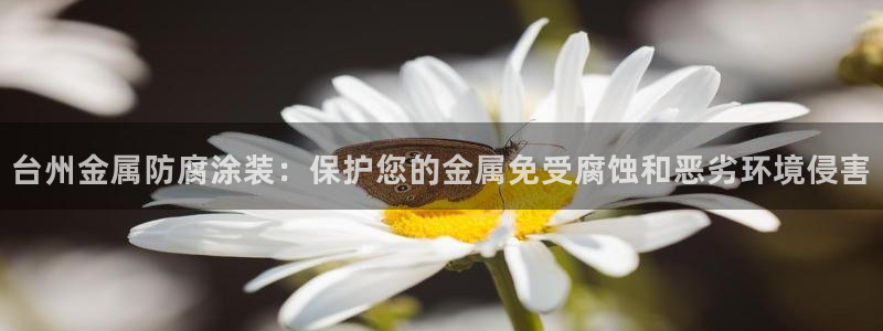 美高梅何超琼年薪