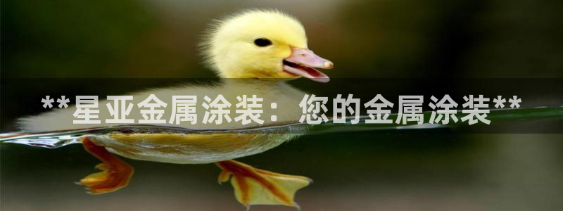 美高梅酒店和丽思卡尔顿哪个好