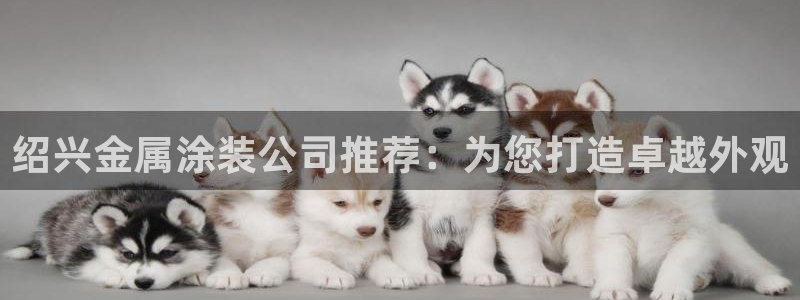 美高梅中国是什么公司