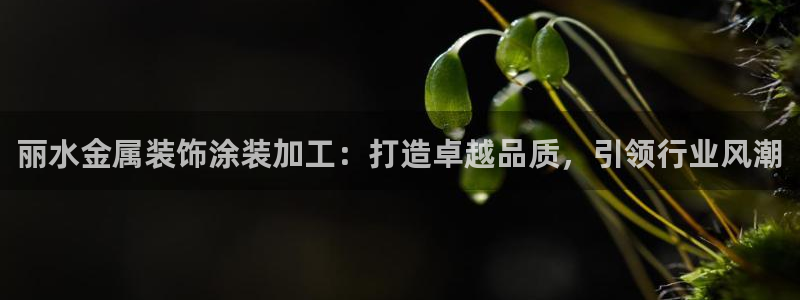 美高梅会员卡打折吗