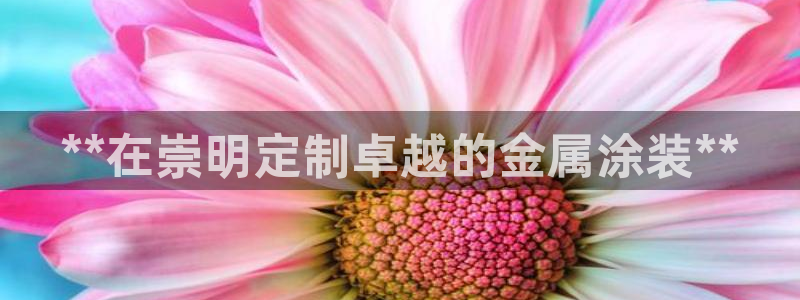 美狮美高梅酒店购物