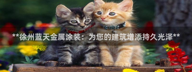 美高梅是谁的产业