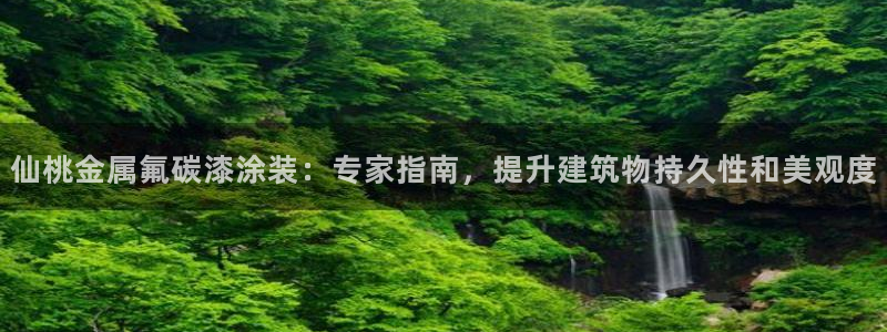 美高梅儿童托管怎么样啊