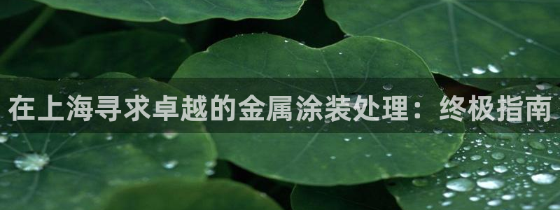 美高梅大酒店老板是谁
