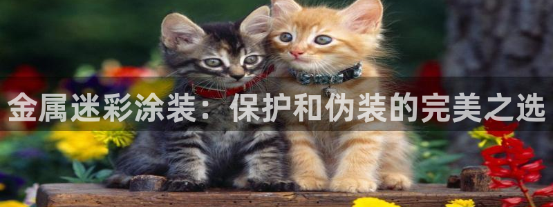 美高梅现场照片