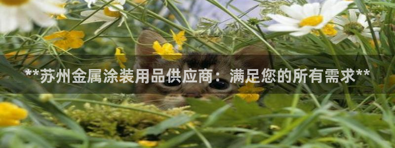 美高梅和永利是一家吗