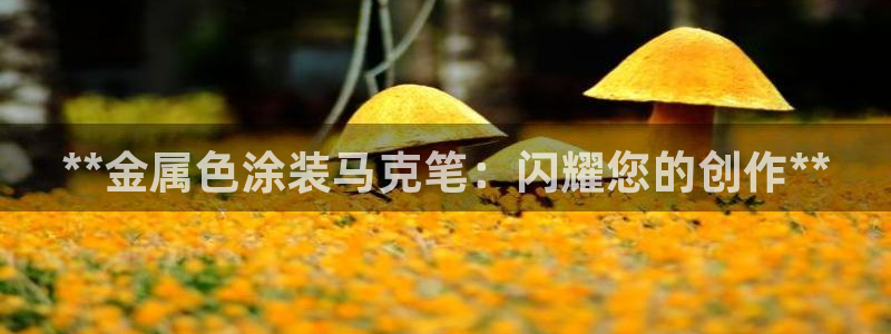 美高梅属于哪个集团