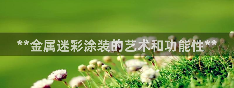 美高梅集团公司