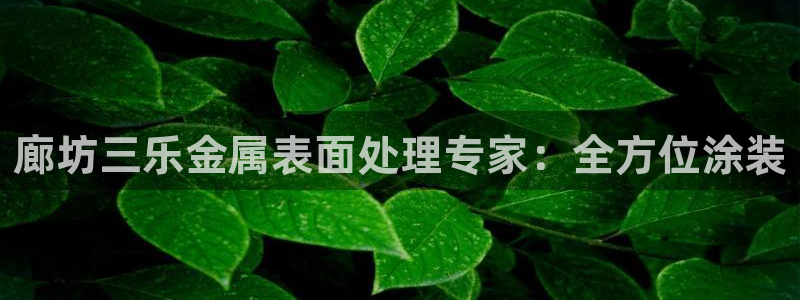 美狮美高梅发财车时刻表