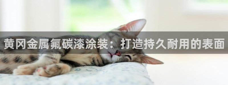 美高梅酒店陈百强