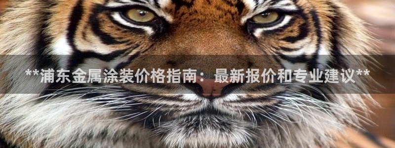 美高梅积分卡级别