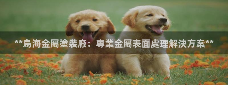 美高梅股票中国净资产多少