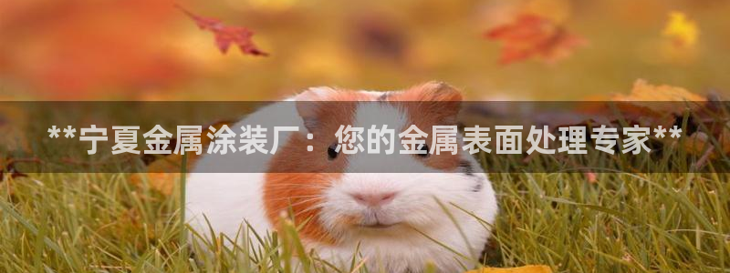 美高梅酒店香水啥牌子