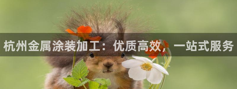 美高梅股票代码02282最近行情