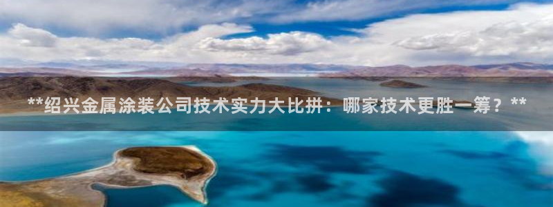 美高梅狮王卡值多少钱