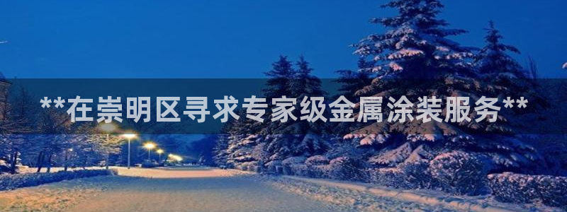 美高梅酒店拖鞋