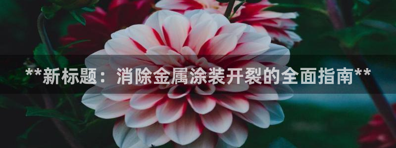 美高梅酒店前台