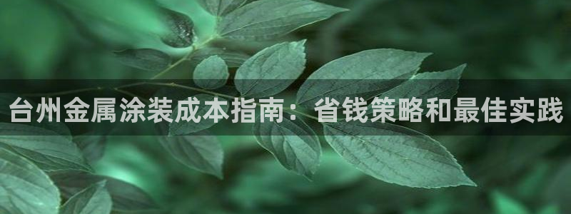 美高梅国际酒店集团介绍