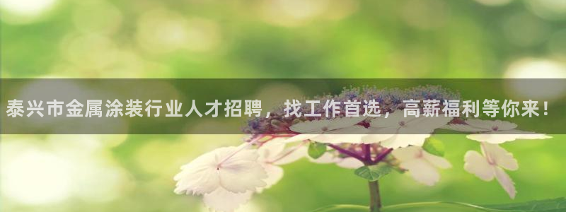 美高梅公司怎么样