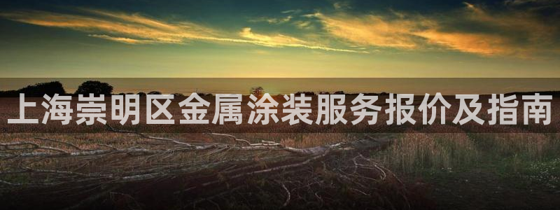 美高梅酒店和丽思卡尔顿哪个好