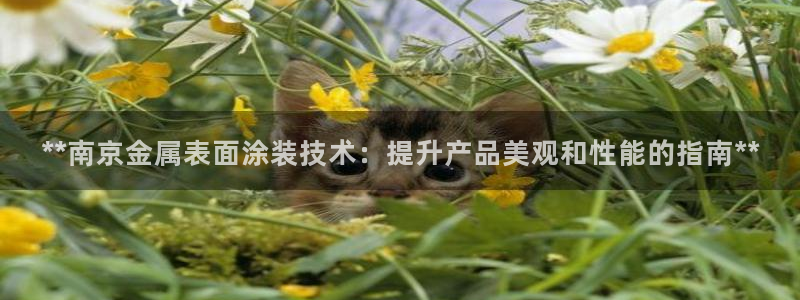 美高梅酒店多少层楼高