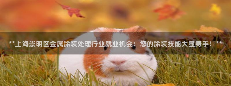 美高梅酒店表演时间