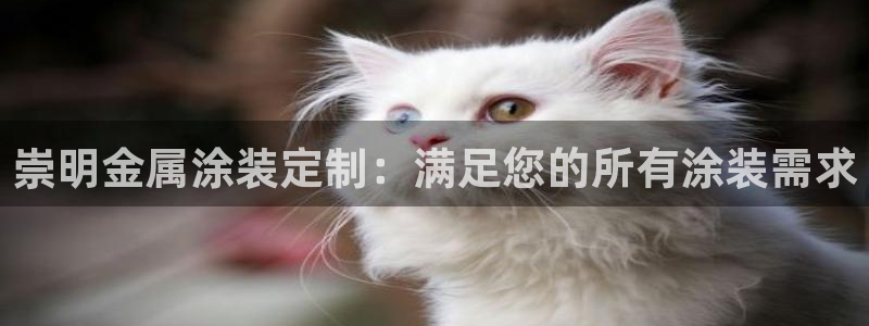 美高梅大酒店在哪里