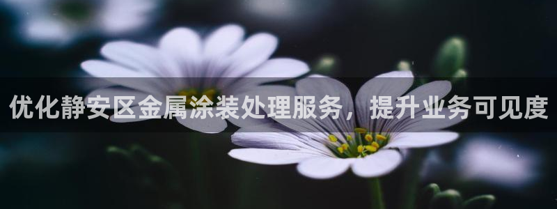 美高梅酒店集团怎么样