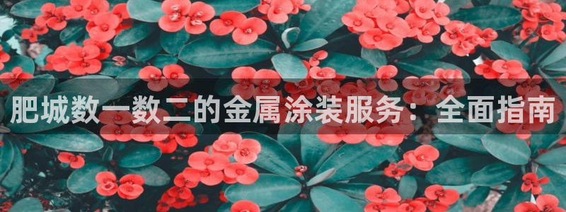 美高梅酒店股东