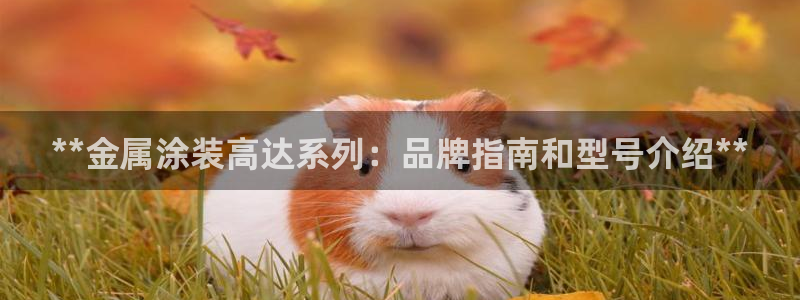 美高梅是做什么的澳门何超琼