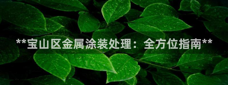 美高梅小吃
